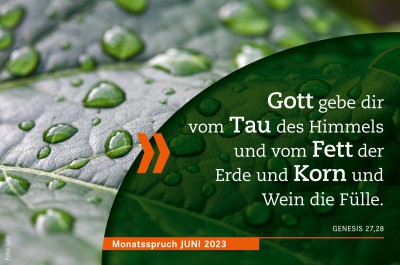 Monatsspruch Juni 2023