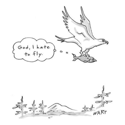 Deep fly