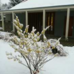 Feierhalle im Winter