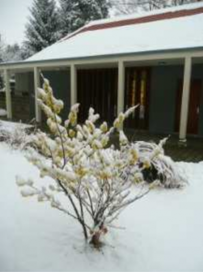 Feierhalle im Winter