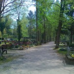 Friedhof Graupa 2016-05-01 