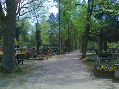 Friedhof Graupa 2016-05-01