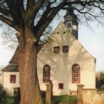 Stieleiche - hinter der Liebethaler Kirche