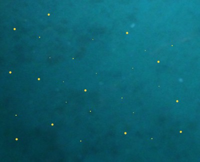 nacht